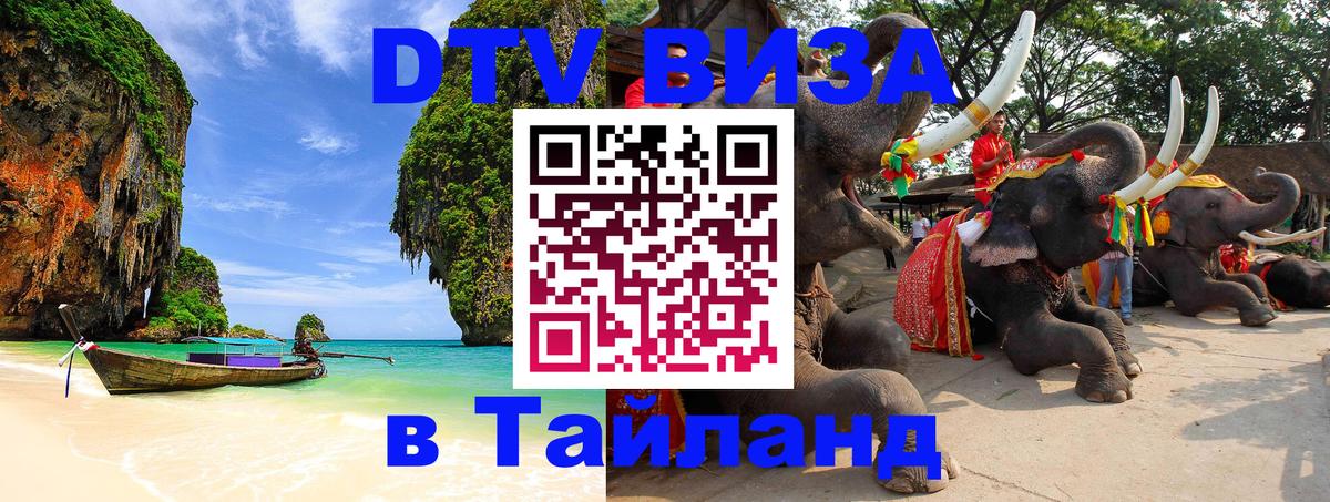 ДТВ VISA Тайланд для фрилансеров Амстердам 